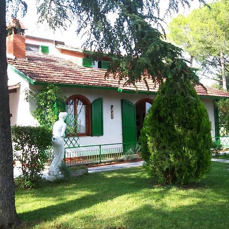 I Pini House Villa Magione Dış mekan fotoğraf