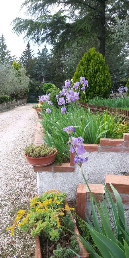 I Pini House Villa Magione Dış mekan fotoğraf